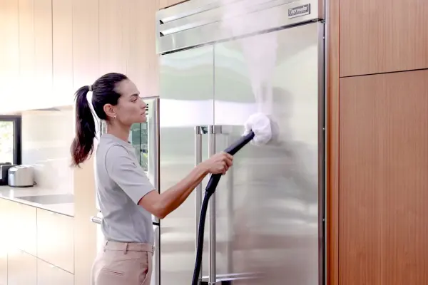 Dupray Neat Steam Cleaner