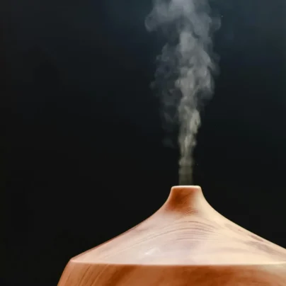 Humidifier for rent in Lisbon and Paris